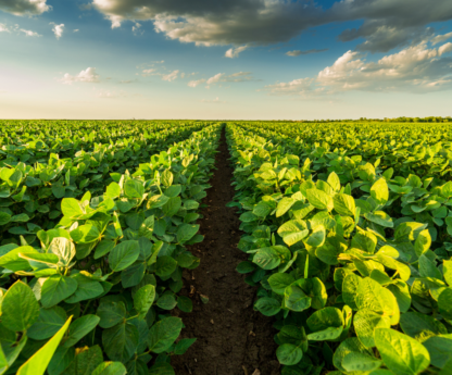 The Hands That Feed the Nation Often Struggle the Most